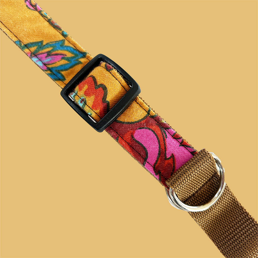 Trendy Dogs | Collar