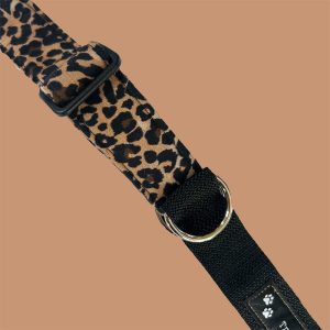 Trendy Dogs | Collar