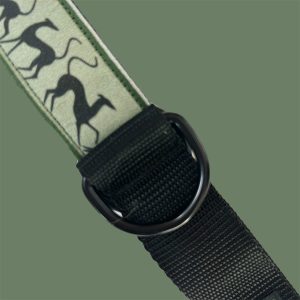 Trendy Dogs |  Collar