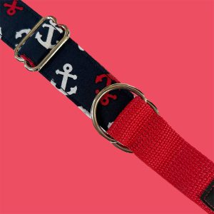 Trendy Dogs | Collar