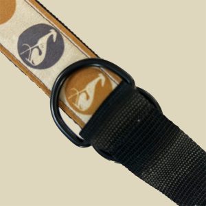 Trendy Dogs  |  Collar