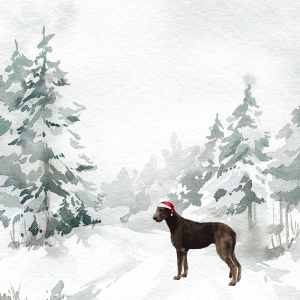 OH MY DOG   Christmas Card 9