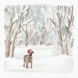 OH MY DOG   Christmas Card 10