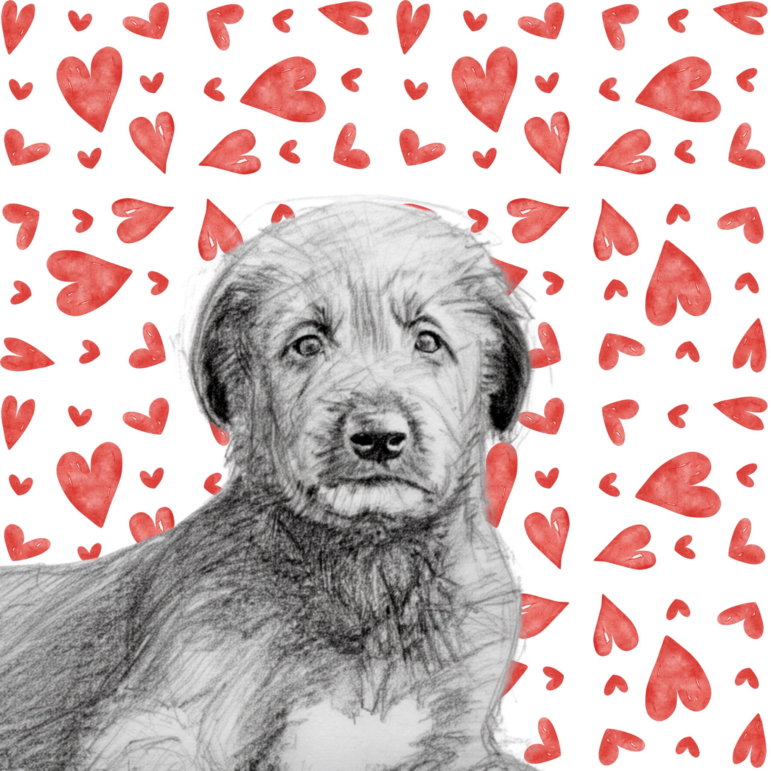 OMD | Card hearts - download