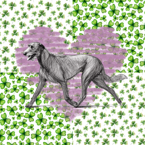 OMD | Card Shamrock - download