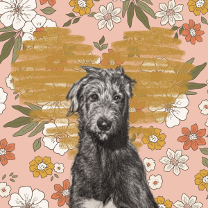 OMD | Card Flowers - download