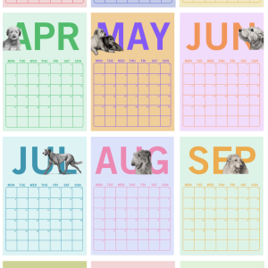 OMD | Calendar 2026 download